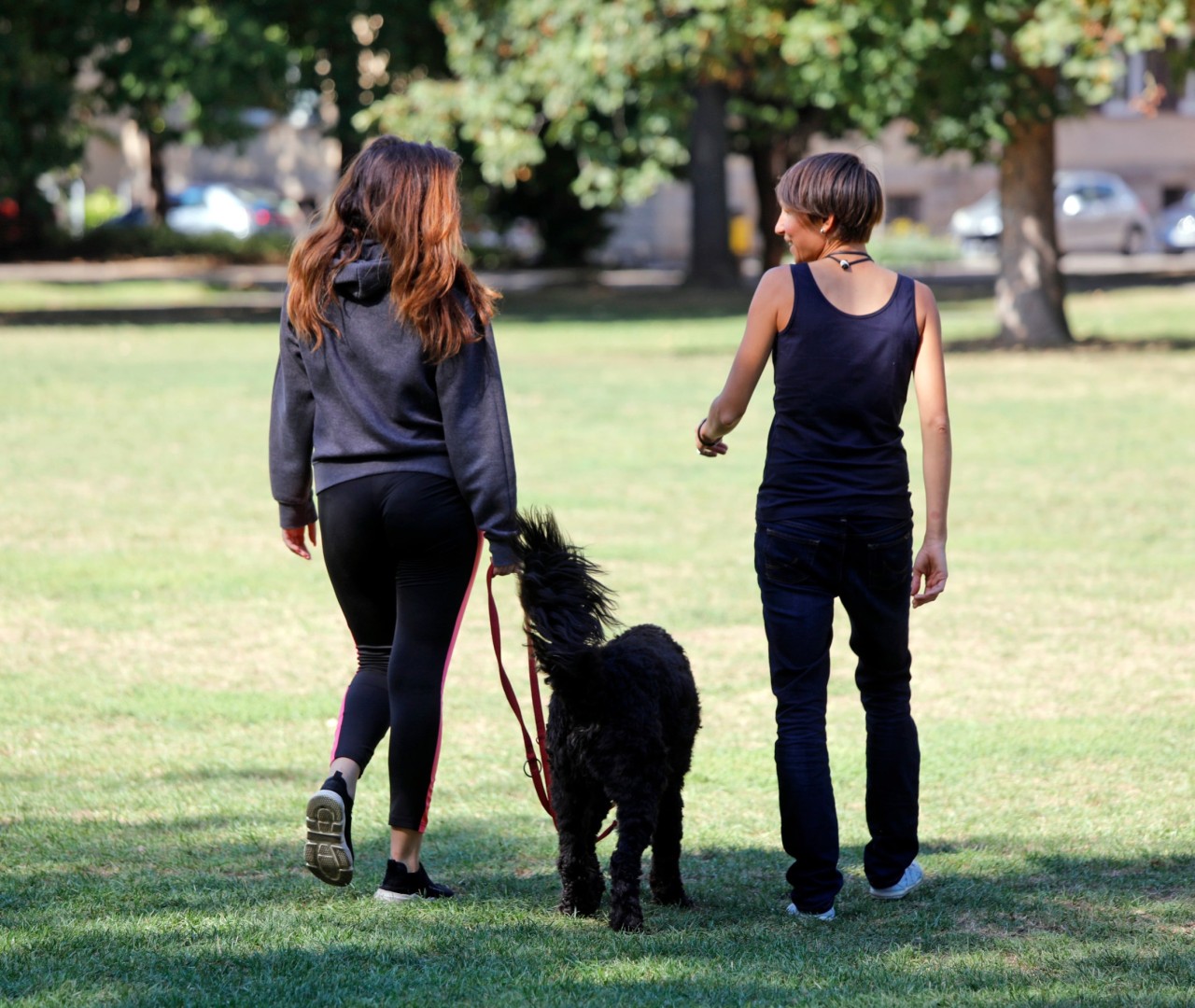 Titelbild - Hilfen zur Erziehung