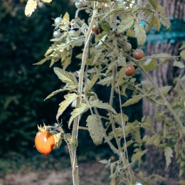 Bildserien Foto 4